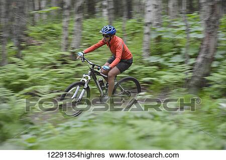 Stock Photograph - Woman mountain biker rides single track trails at Kincaid Park in Anchorage, Alaska. Fotosearch