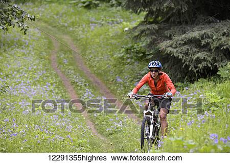 Woman mountain biker rides through a field of wild geraniums at Kincaid Park in Anchorage, Alaska View Large Photo Image Stock Photograph - Woman mountain biker rides through a field of wild geraniums at Kincaid Park in Anchorage, Alaska. Fotosearch