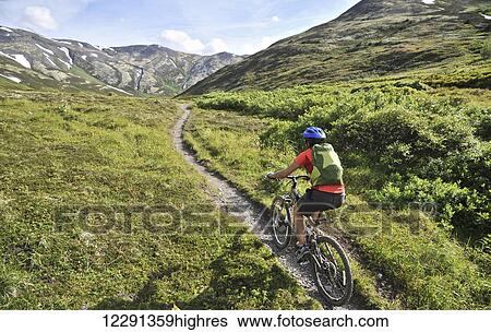 Woman rides a full suspension mountain bike on the Resurrection Pass Trail in the Chugach National Forest, Kenai Peninsula, South-central Alaska View Large Photo Image Stock Photograph - Woman rides a full suspension mountain bike on the Resurrection Pass Trail in the Chugach National Forest, Kenai Peninsula, South-central Alaska. Fotosearch