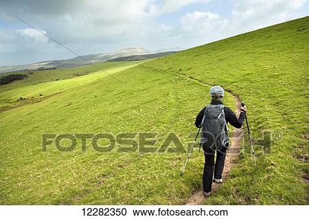 Stock Image - Woman walking in a field toward Ninety Miles Beach; North Island, New Zealand. Fotosearch