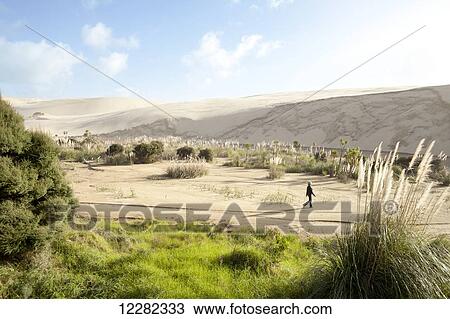 Woman walking in the dunes; North Island, New Zealand View Large Photo Image Stock Image - Woman walking in the dunes; North Island, New Zealand. Fotosearch