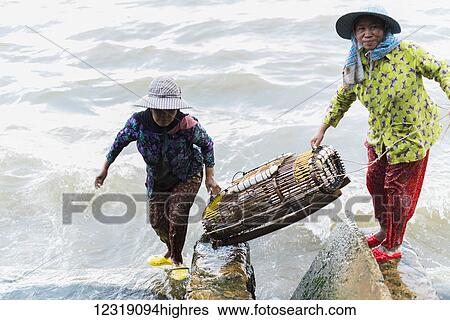 Women carrying a large crab trap from the water, local life in the famous crab market; Kep, Cambodia View Large Photo Image Stock Photograph - Women carrying a large crab trap from the water, local life in the famous crab market; Kep, Cambodia. Fotosearch