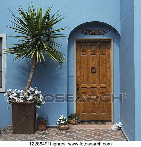Wooden door of a house with blue walls in the entryway and decorative plants; San Miguel de Allende, Guanajuato, Mexico View Large Photo Image Stock Photograph - Wooden door of a house with blue walls in the entryway and decorative plants; San Miguel de Allende, Guanajuato, Mexico. Fotosearch