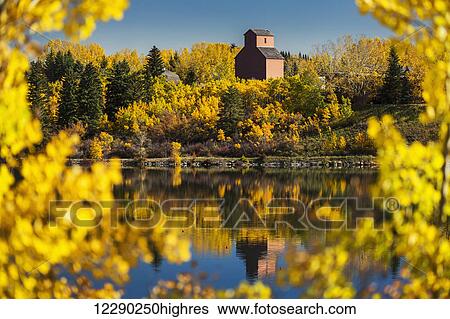 Wooden grain elevator surrounded by colourful trees in autumn reflecting in a lake with blue sky; Calgary, Alberta, Canada View Large Photo Image Stock Photograph - Wooden grain elevator surrounded by colourful trees in autumn reflecting in a lake with blue sky; Calgary, Alberta, Canada. Fotosearch