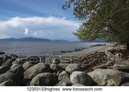 Stock Photograph - Wreck Beach along the Foreshore Trail; Vancouver, British Columbia, Canada. Fotosearch