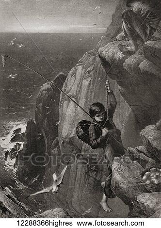 Stock Photograph - Young boy gathering eggs from a nest set in a rocky cliff face in the mid 19th century. From Bibby's Annual published 1910.. Fotosearch