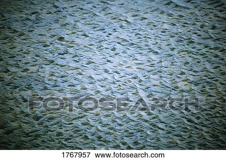 Ripples on the water View Large Photo Image Stock Photo - Ripples on the water. Fotosearch