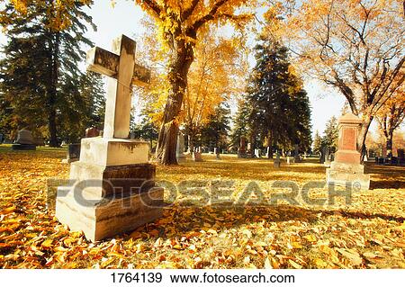 A graveyard View Large Photo Image Stock Photo - A graveyard. Fotosearch