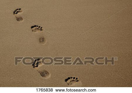 Stock Photo - A walk on the beach. Fotosearch