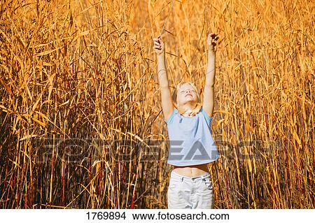 As tall as the crops View Large Photo Image Picture - As tall as the crops. Fotosearch