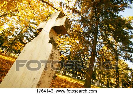 A graveyard View Large Photo Image Stock Image - A graveyard. Fotosearch