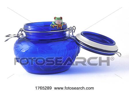 Frog in a jar View Large Photo Image Stock Photo - Frog in a jar. Fotosearch