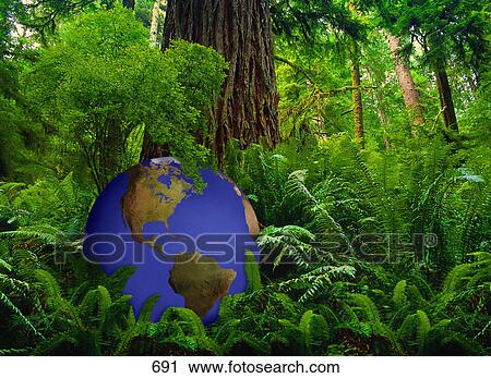 Green and blue globe at base of large tree in rainforest View Large Photo Image Stock Image - Green and blue globe at base of large tree in rainforest. Fotosearch