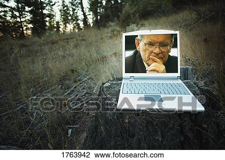 Stock Image - Lap top in a forest. Fotosearch