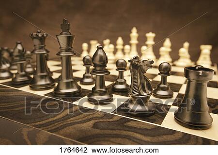 A fresh game of chess View Large Photo Image Stock Image - A fresh game of chess. Fotosearch