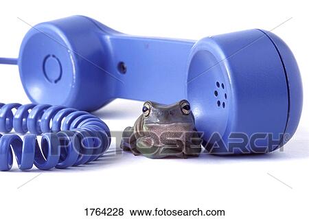 Stock Photo - Frog talks on the phone. Fotosearch