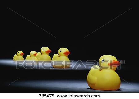 Stock Photo - The leader of the pack. Fotosearch