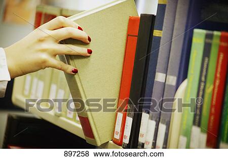 Choosing the right book View Large Photo Image Stock Photo - Choosing the right book. Fotosearch