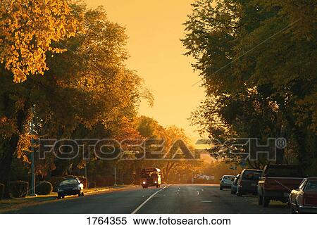 Stock Photography - School Bus. Fotosearch