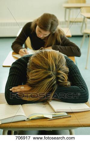 Taking a nap during an assignment View Large Photo Image Stock Photo - Taking a nap during an assignment. Fotosearch