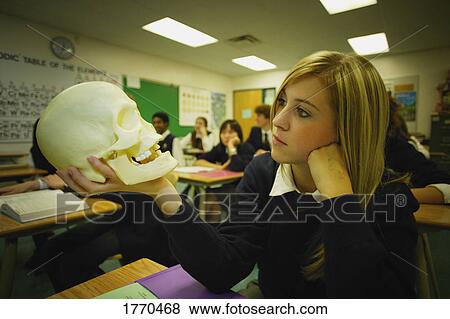 Female student examining skull View Large Photo Image Stock Photo - Female student examining skull. Fotosearch