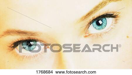 Closeup of woman's eyes View Large Photo Image Picture - Closeup of woman's eyes. Fotosearch