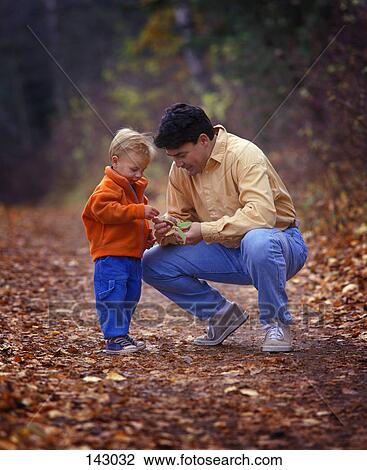 Father and son looking at autumn leaves View Large Photo Image Stock Image - Father and son looking at autumn leaves. Fotosearch