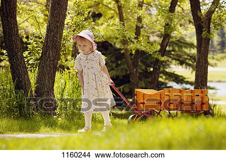 A girl with a wagon View Large Photo Image Picture - A girl with a wagon. Fotosearch