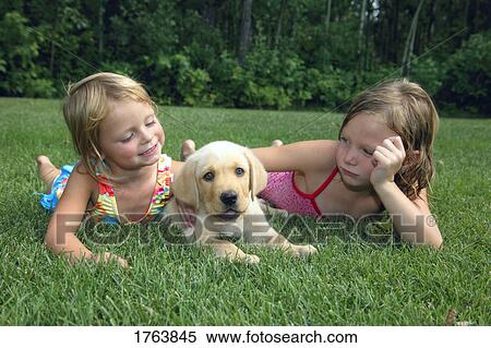 Children playing with puppy View Large Photo Image Stock Photography - Children playing with puppy. Fotosearch