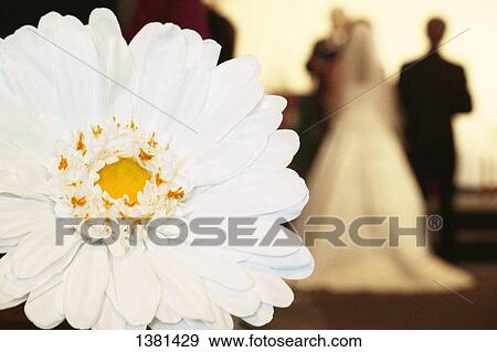 Bride and groom at the altar View Large Photo Image Stock Photo - Bride and groom at the altar. Fotosearch