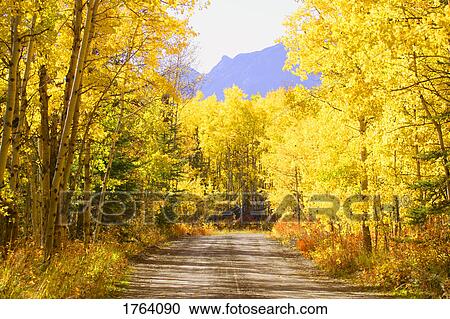 Stock Image - A quiet road. Fotosearch