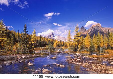 A scenic creek View Large Photo Image Stock Photography - A scenic creek. Fotosearch