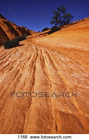 Detail of red mountain slope with tree in background View Large Photo Image Stock Photograph - Detail of red mountain slope with tree in background. Fotosearch