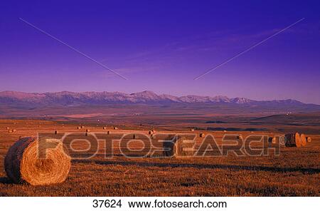 Hay bales and mountains View Large Photo Image Picture - Hay bales and mountains. Fotosearch