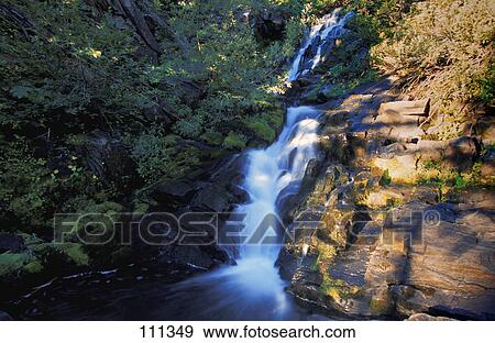 Narrow waterfall in forest View Large Photo Image Stock Photo - Narrow waterfall in forest. Fotosearch