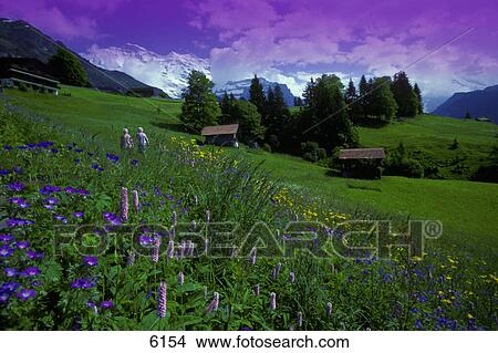 Picture - Old couple by mountainside cottages. Fotosearch