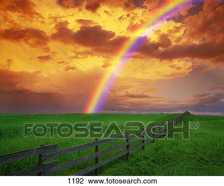 Stock Image - Rainbow in country field with gold clouds. Fotosearch
