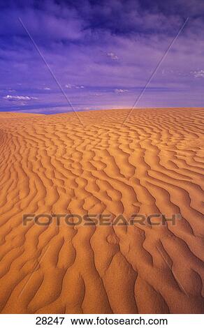 Ripples in the sand View Large Photo Image Stock Photo - Ripples in the sand. Fotosearch