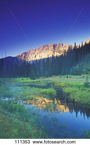 Stock Image - Small calm mountain creek. Fotosearch