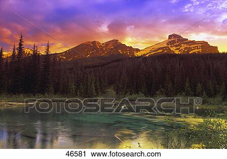 Stock Image - Small mountain lake with submerged logs. Fotosearch