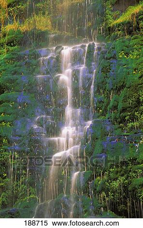 Time delay of waterfall on green cliff View Large Photo Image Stock Photography - Time delay of waterfall on green cliff. Fotosearch