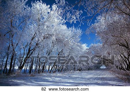 Winter wonderland View Large Photo Image Stock Image - Winter wonderland. Fotosearch