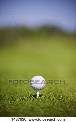 Ball ready for tee off View Large Photo Image Stock Image - Ball ready for tee off. Fotosearch