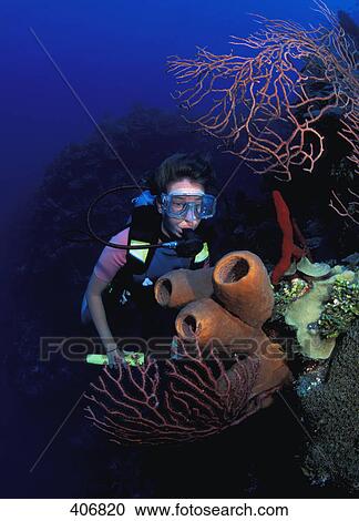 Posing in front of coral View Large Photo Image Stock Image - Posing in front of coral. Fotosearch