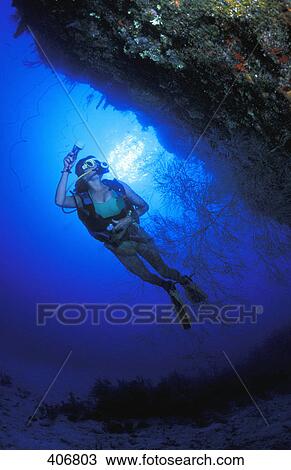 Reef examination View Large Photo Image Stock Image - Reef examination. Fotosearch