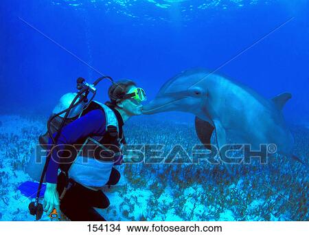 Picture - Scuba diver kissing dolphin underwater. Fotosearch
