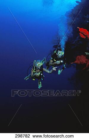 Stock Image - Scuba divers wall diving East End Grand Cayman . Fotosearch