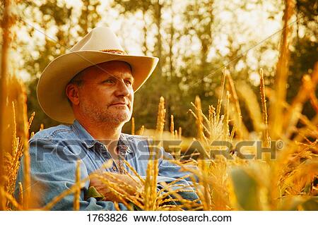 Cowboy in wheat field View Large Photo Image Stock Photograph - Cowboy in wheat field. Fotosearch