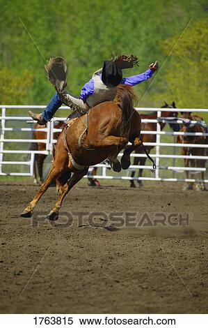 Stock Photography - Cowboy on wild horse. Fotosearch