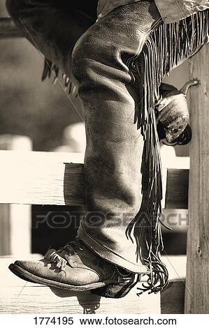 Cowboy View Large Photo Image Stock Photography - Cowboy. Fotosearch